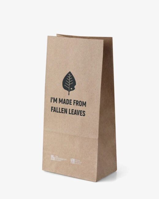 Ventajas de las bolsas hechas de hojas de árboles