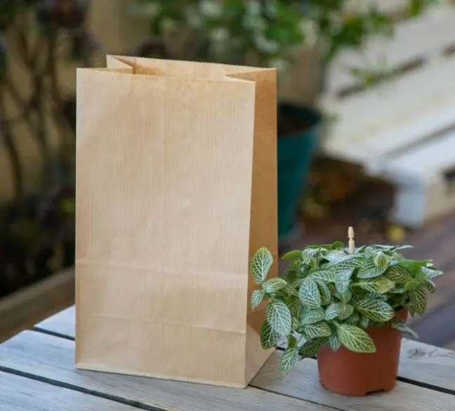 Bolsas de papel sin asas para alimentación