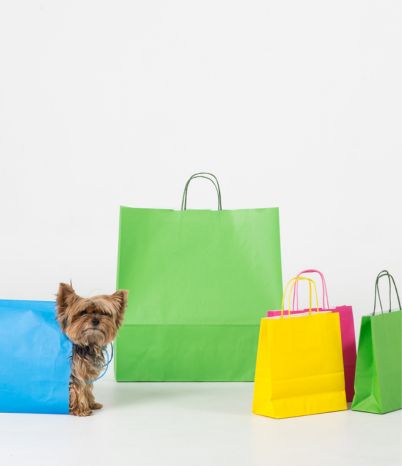 Bolsas de papel para tienda de manualidades