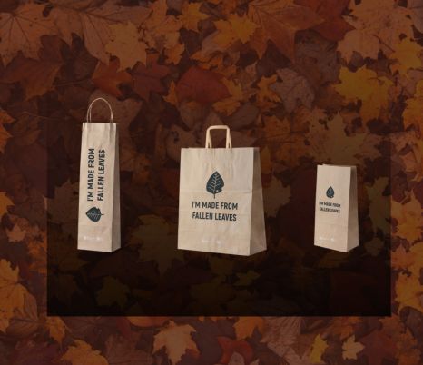 Bolsas hechas con hojas secas