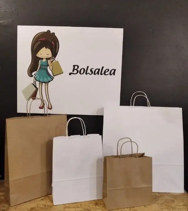 Tipos de bolsas para tiendas bonitas – Bolsalea