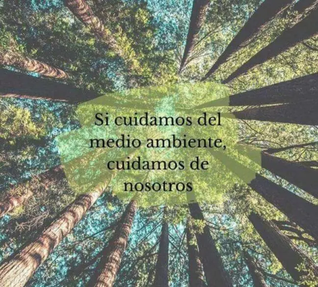 Cuidado del medio ambiente