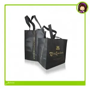 bolsas para take away