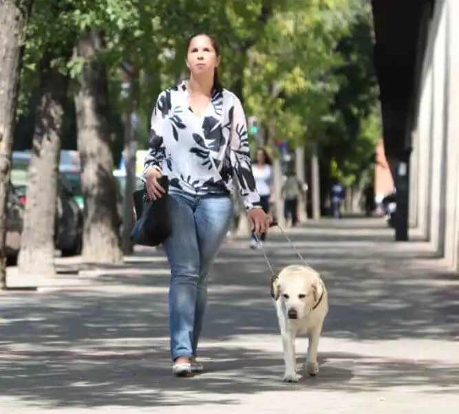 moda para invidentes