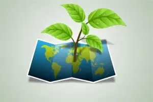 el papel y la sostenibilidad