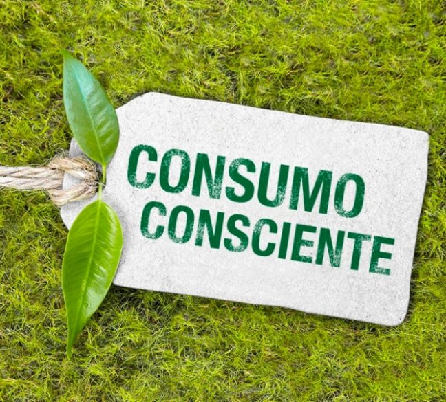 ¿Que es el consumo consciente?