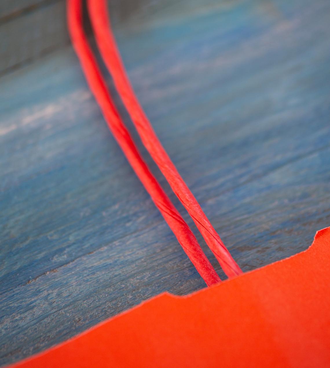 Bolsas papel 25x31x11