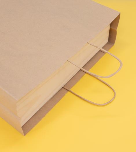 Bolsas de papel kraft 100 g 36x31x12. Papel ecológico