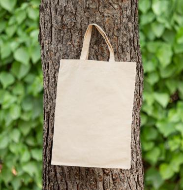 Bolsas de algodón orgánico 160 g 20x30