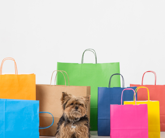 Bolsas de papel de colores y un perro