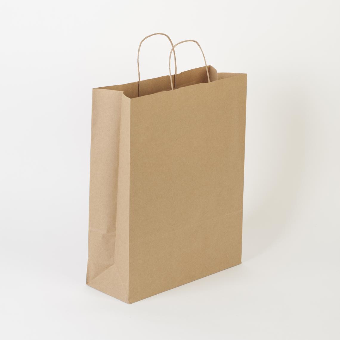 Bolsas de papel medianas con asas rizadas