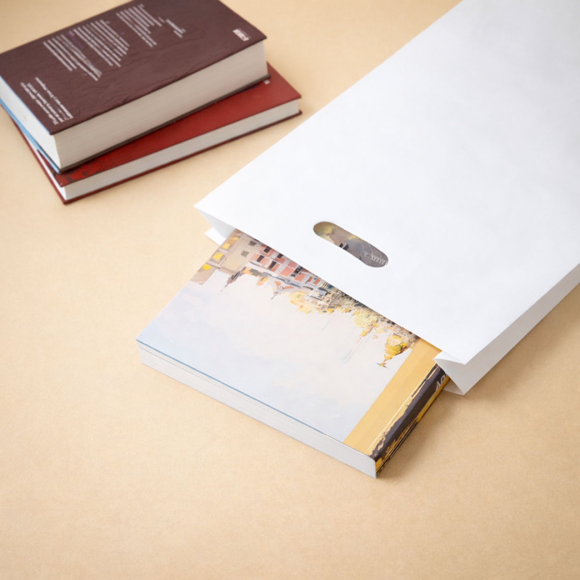 Bolsas celulosa asa troquel 31x47x7