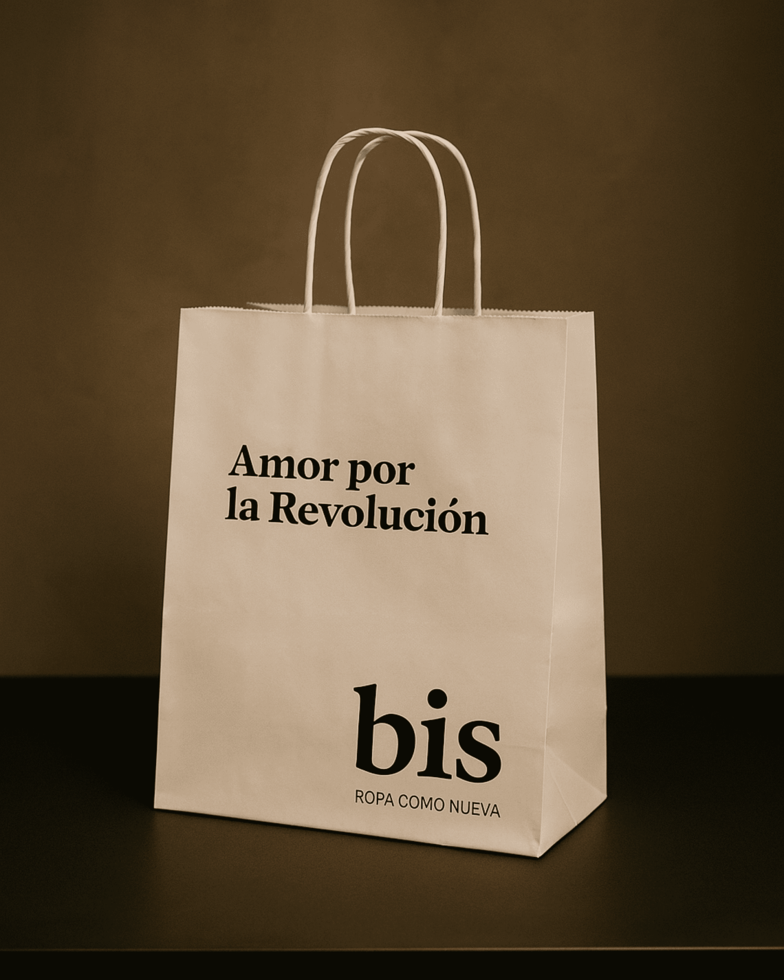 Bolsa papel 100 g 24x31x12