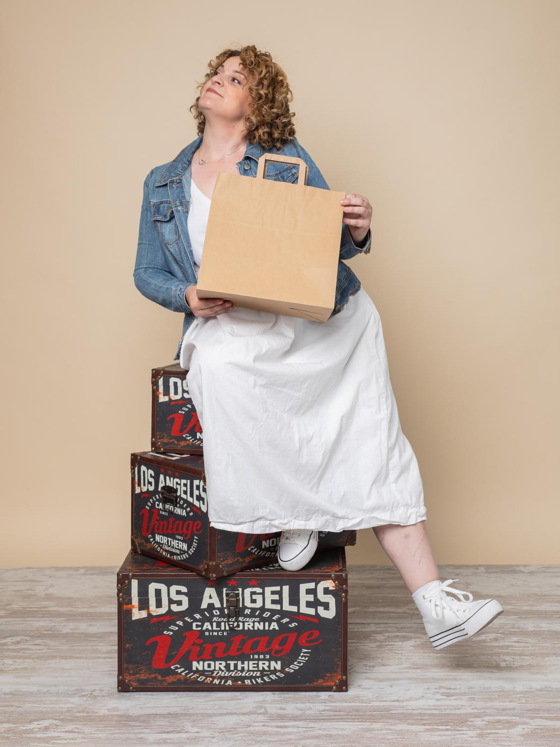 Bolsas take away 26x27x17