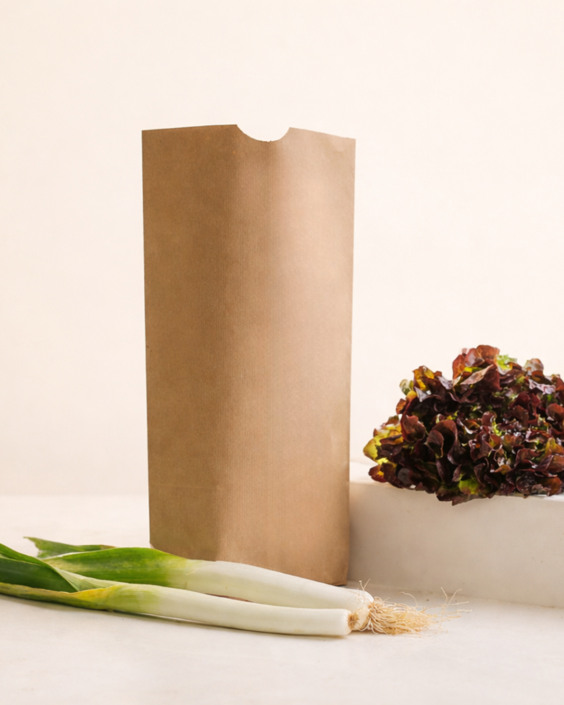 Bolsa kraft sin asas para alimentos 28x47