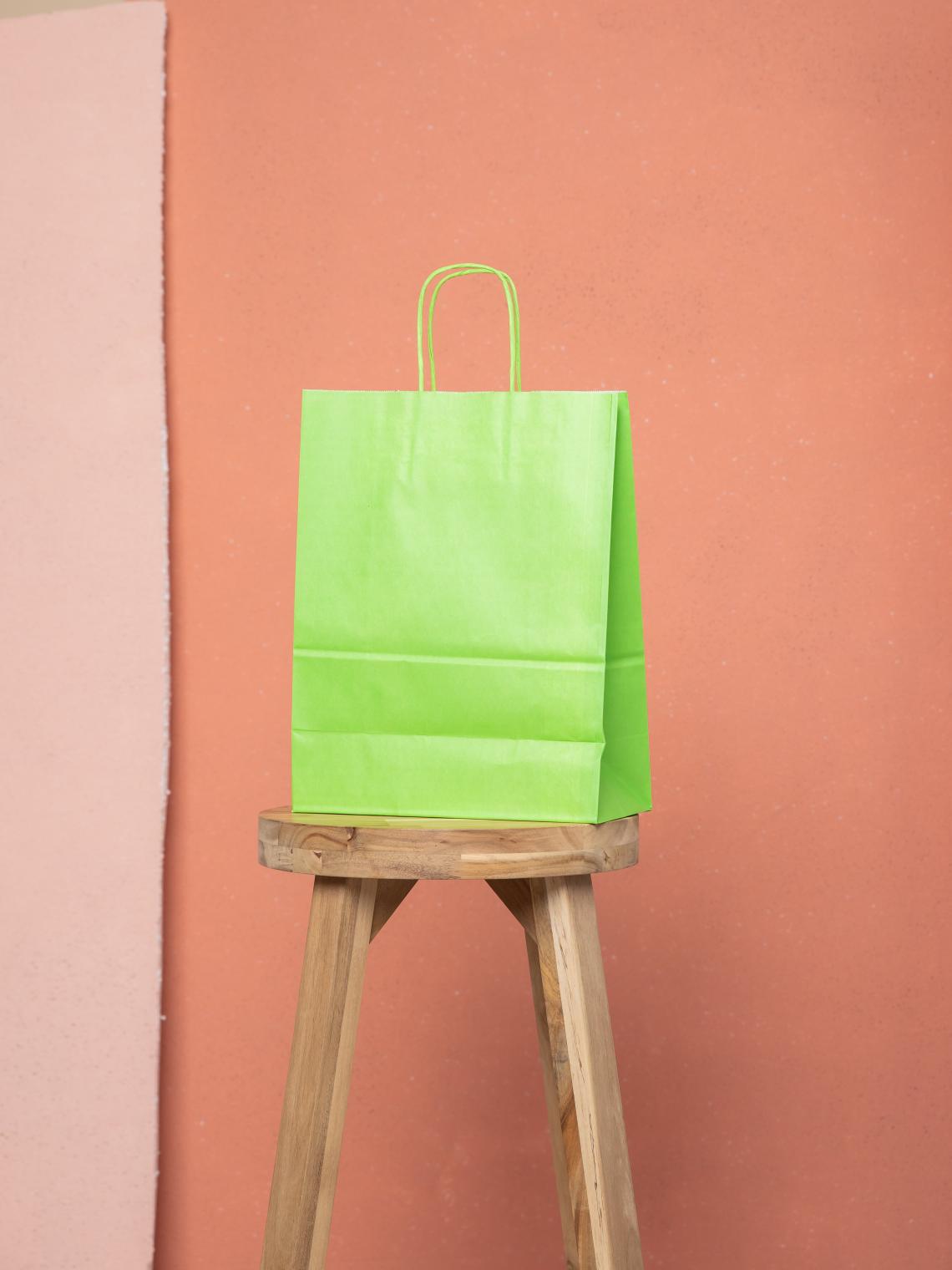 Bolsa papel 100 g 24x31x12