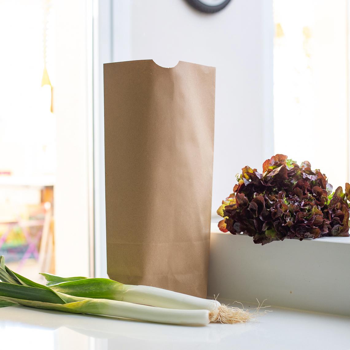 Bolsa kraft sin asas para alimentos 28x47