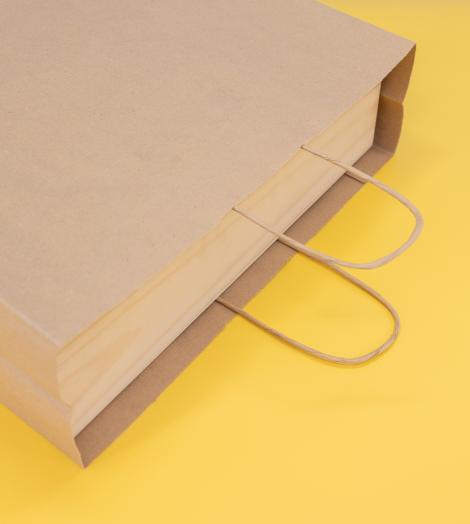 Bolsas de papel kraft 100 g 36x31x12