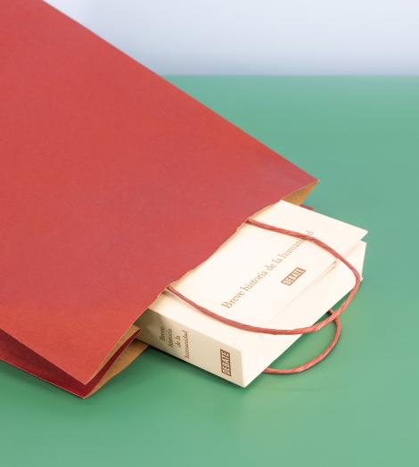 Bolsas de papel burdeos para comercios Bolsas de papel burdeos